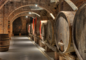 Underground vaulted brick wine cellar with damp-proof floor coating and breathable moisture barrier protection
